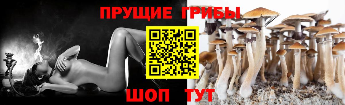 Нурлат  Псилоцибиновые грибы GOLDEN TEACHER  Вход с VPN 
